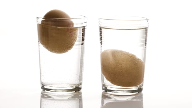 egg in a glass of water