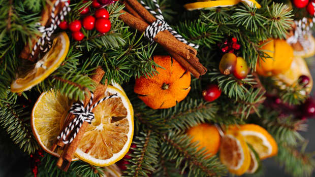 Pine tree with dried oranges, holly berries, and cinnamon sticks decorating it.