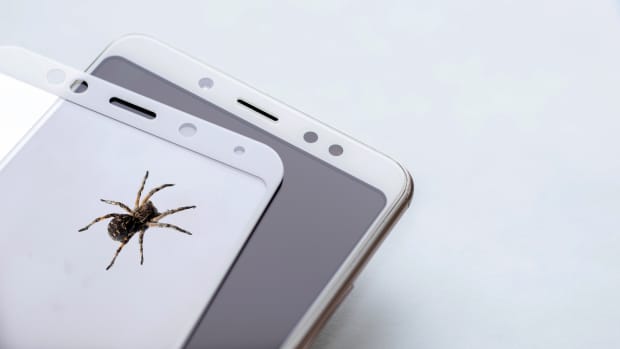 a spider crawling on a cell phone