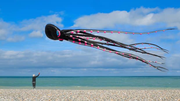 Octopus kite in the sky over the Atlantic ocean.