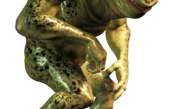 A mutant humanoid green and slimy frogman, half frog and half human.