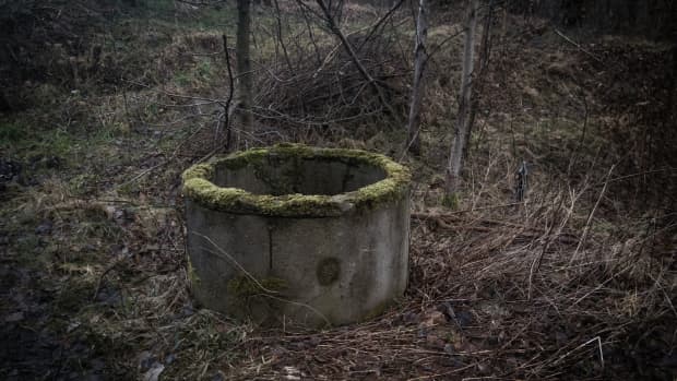 An old well in the woods