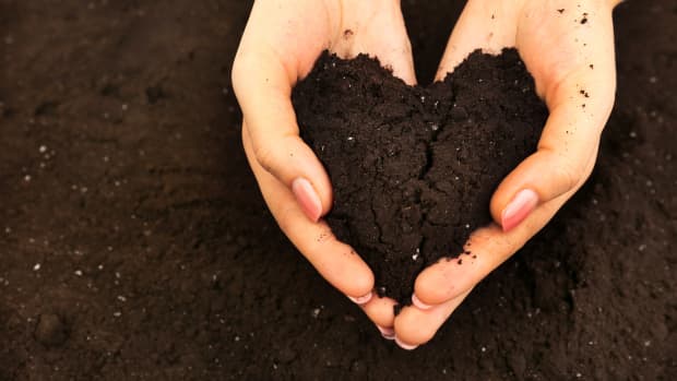 a pair of hands holding a clump of dirt in the shape of a heart