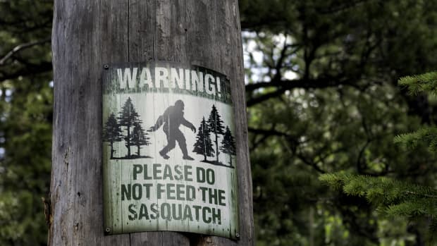 Please do not feed the Sasquatch sign posted on a tree.