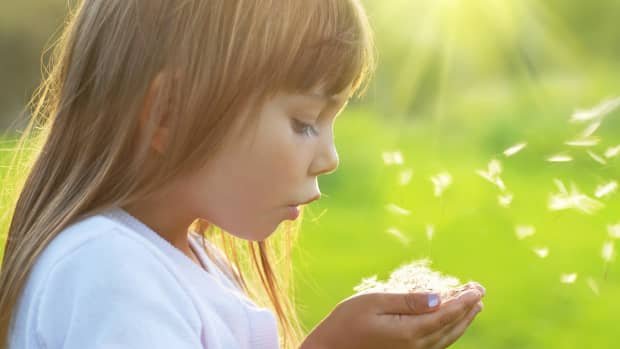 A little girl holds a handful of glowing fibers (possibly dandelion fluff?) lit by sunlight