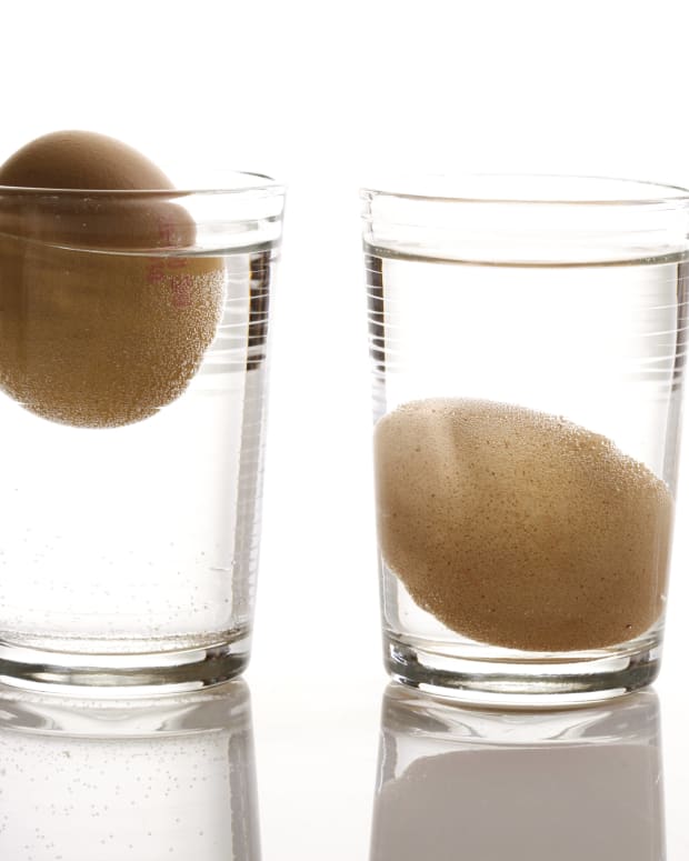 egg in a glass of water