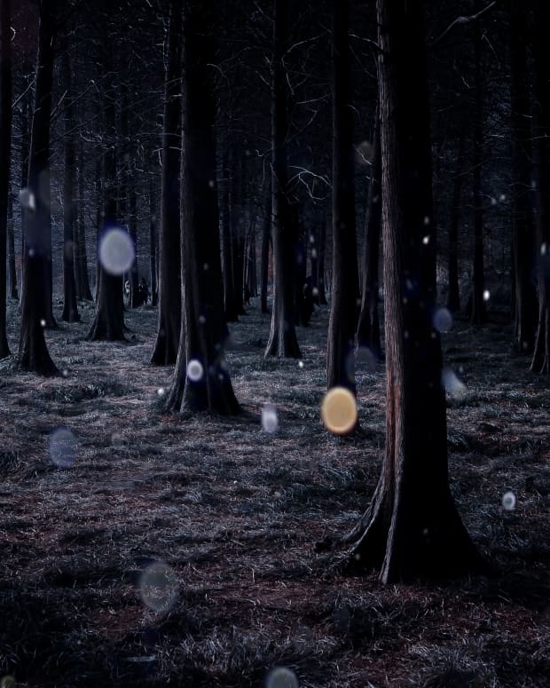 forest orbs