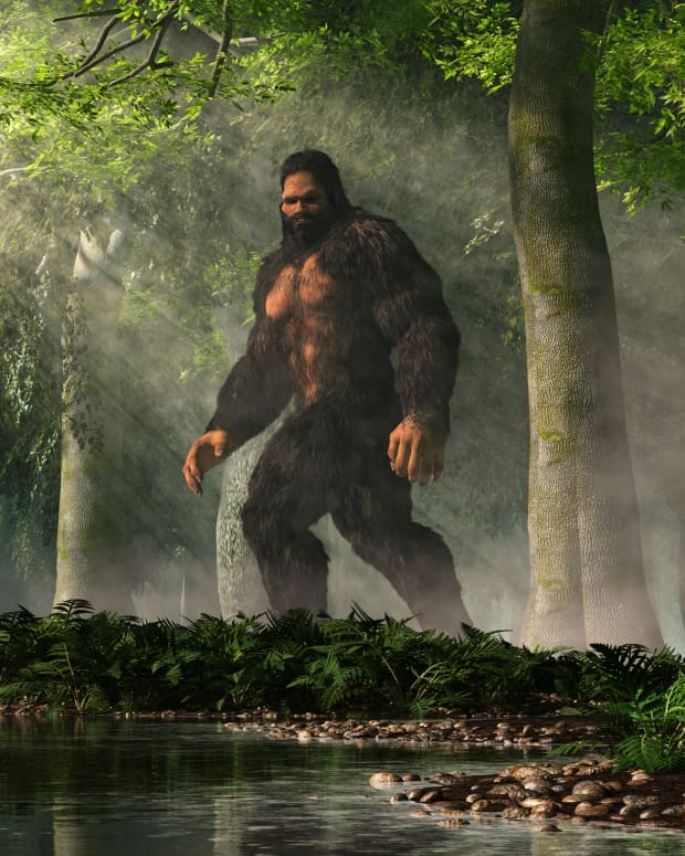 Wandering shaman 'mistaken' for Bigfoot in North Carolina