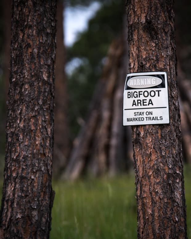 "Bigfoot Area" warning sign on a tree in the forest
