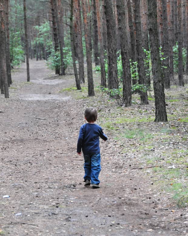 Small Boy walking alone in a forest