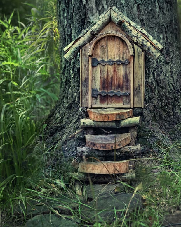 Quaint wooden fairy door and steps built into the base of a tree.