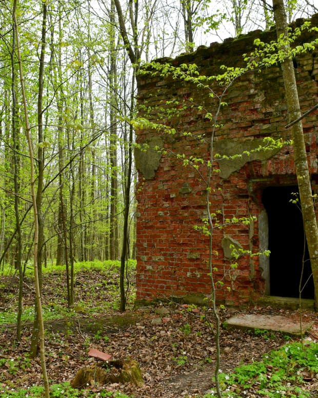 An old brick building in the woods
