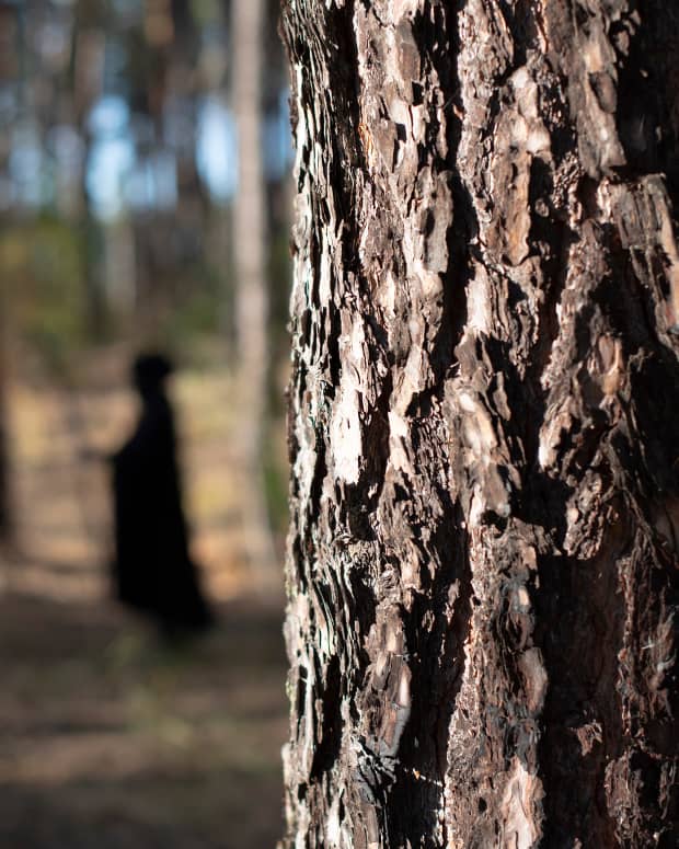 a black-cloaked figure lurks behind a tree