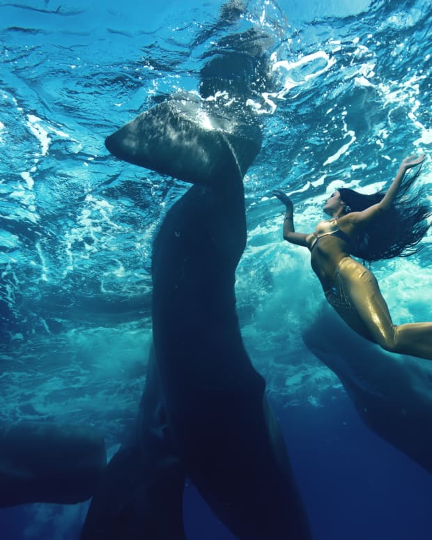 A woman in a golden mermaid costume swims with whales underwater.