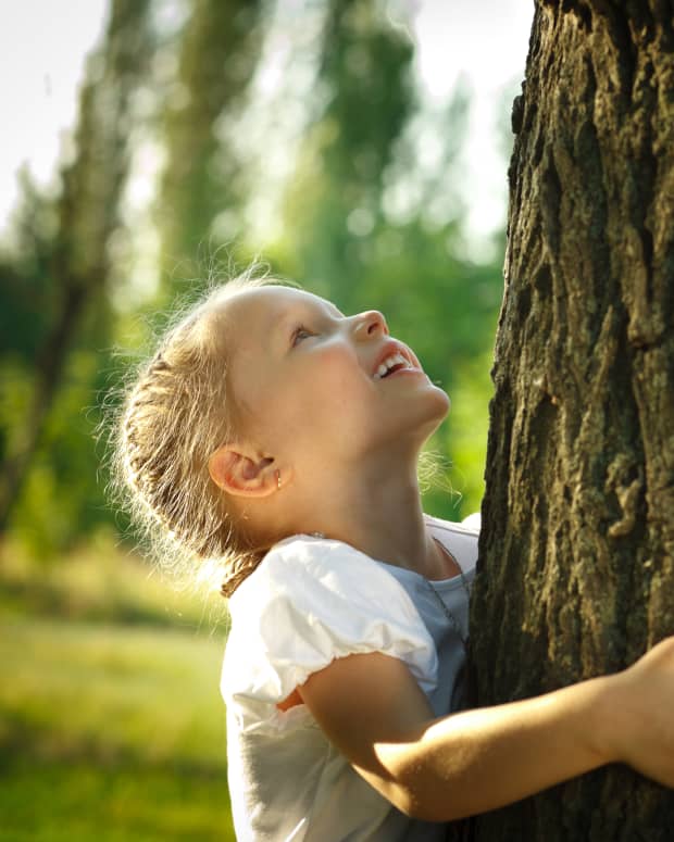 a little blond white girl hugs a tree, looking up at it in wonder