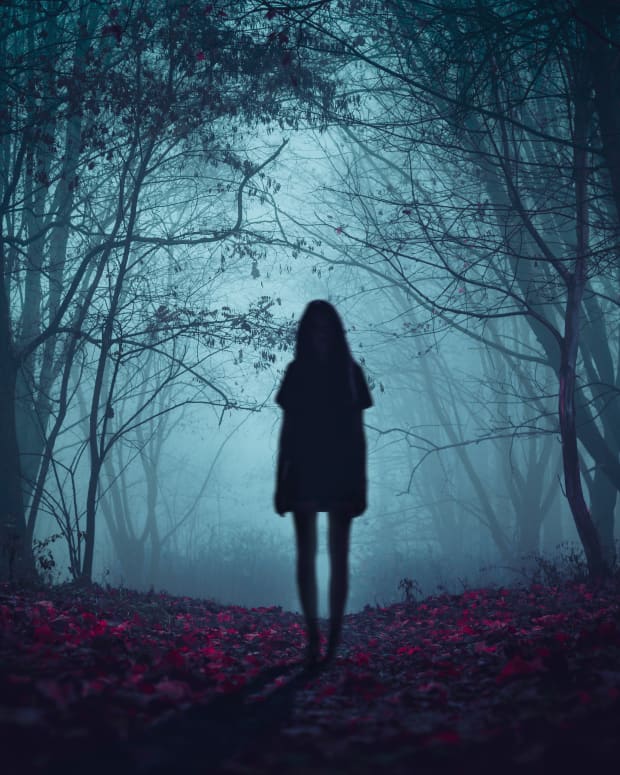 a shadowy figure stands on a path in a creepy woods colored in shades of blue with a red carpet of leaves