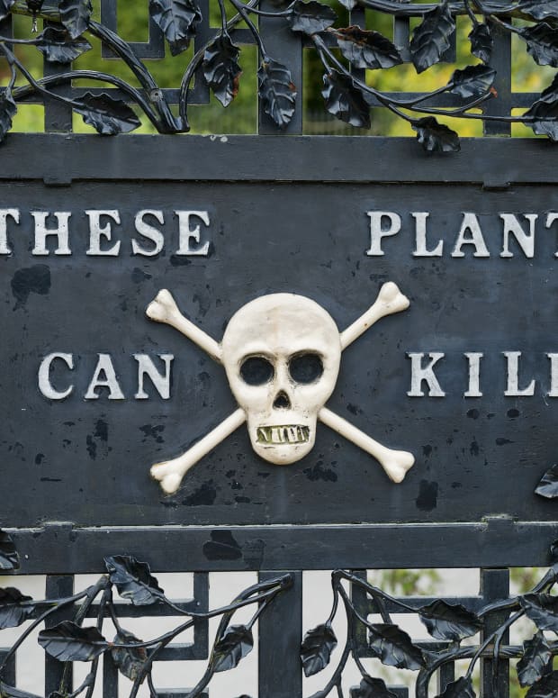 A sign outside the gate of an English Poison Garden in Northumberland