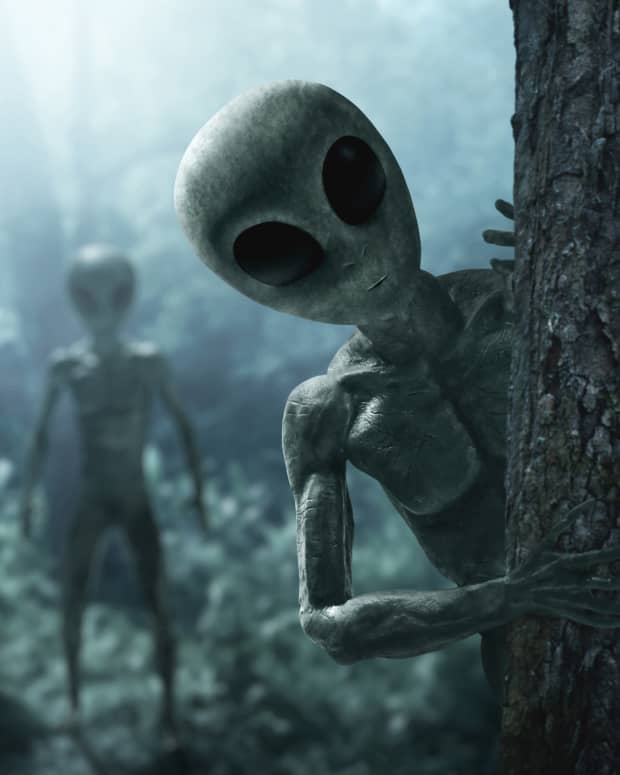 a little gray alien peeks fro behind a tree. Other aliens stand at a distance, in the misty woods.