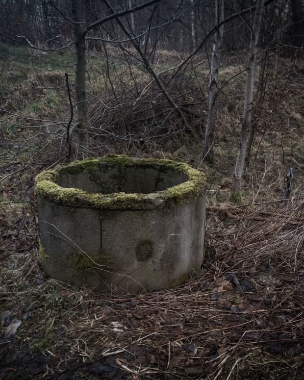 An old well in the woods