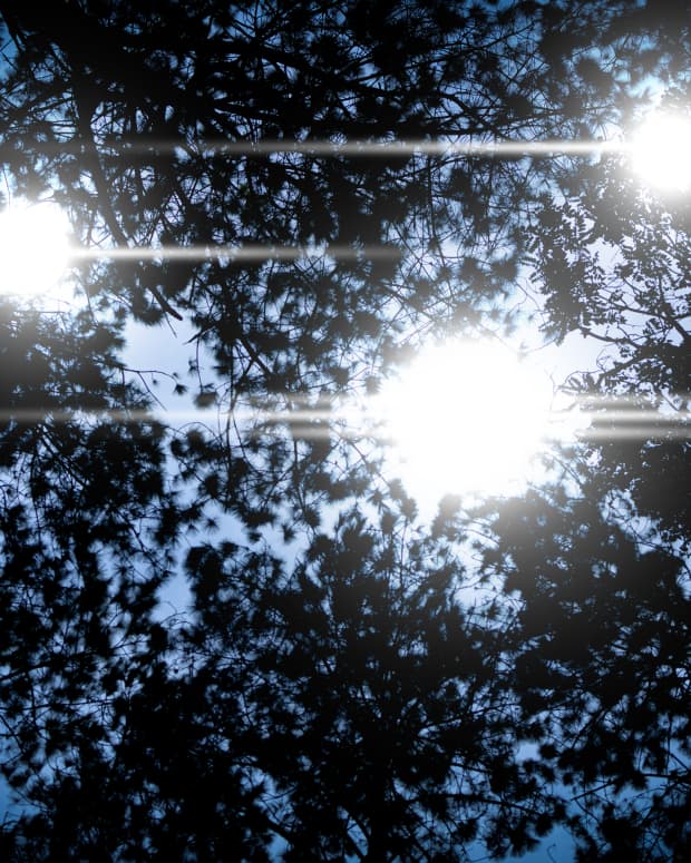 Triple lights shining down through tree leaves