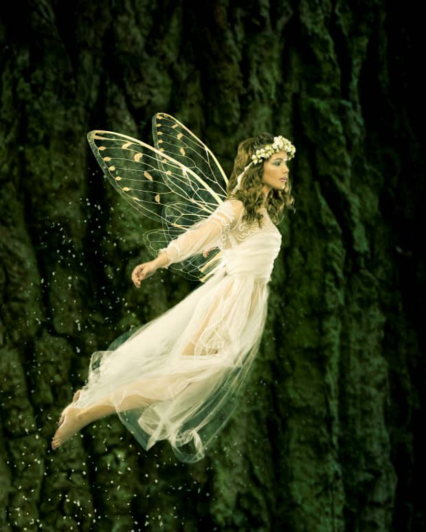 a photoshopped fairy woman with translucent butterfly wings against a tree trunk.