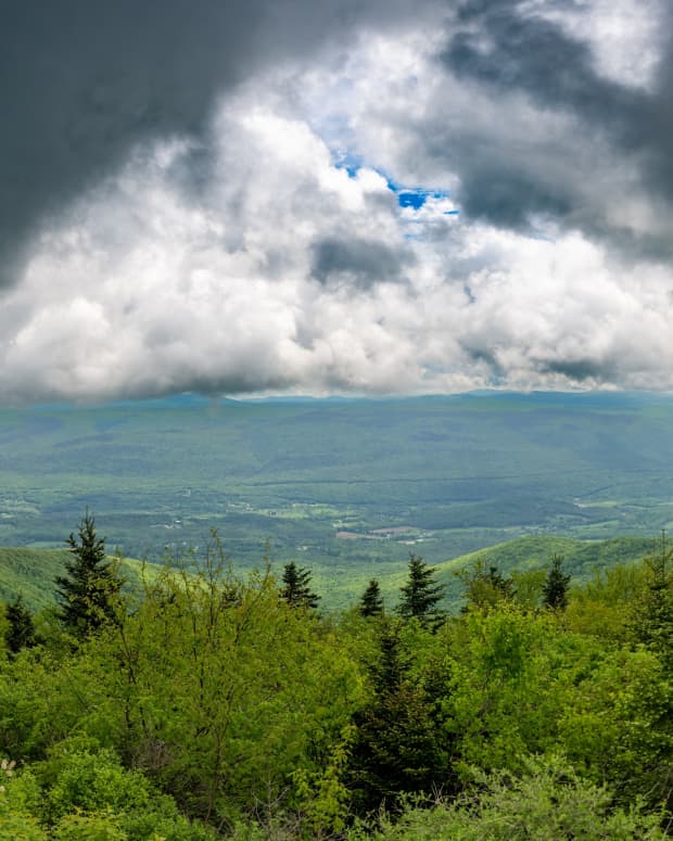 a view of Green Mountain forest under gray clouds in Vermont