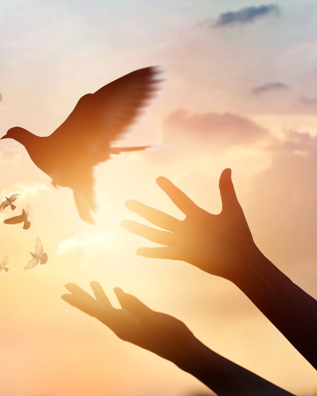 hands releasing doves with the light of a brilliant sun in the background