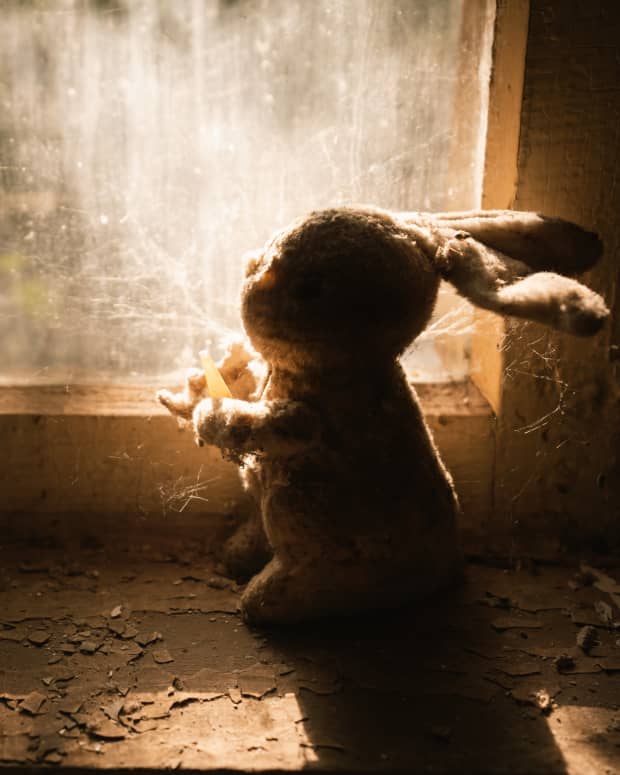 A creepy stuffed animal rabbit looks out a deserted window